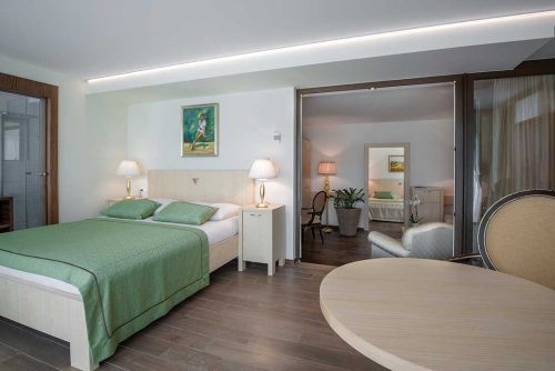 Grand Hotel Donat Superior ***** kurort rogaska 118